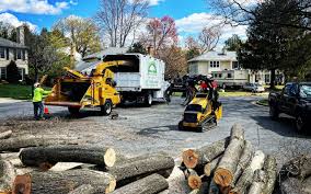 Best Commercial Tree Services  in Southchase, FL